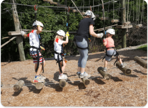 Ropes & Challenge Course - Screaming Raptor